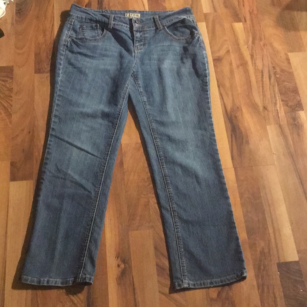 Blue Earl Size 10P Straight Leg Jeans